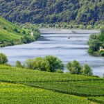 Wein