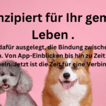 Petlibro
