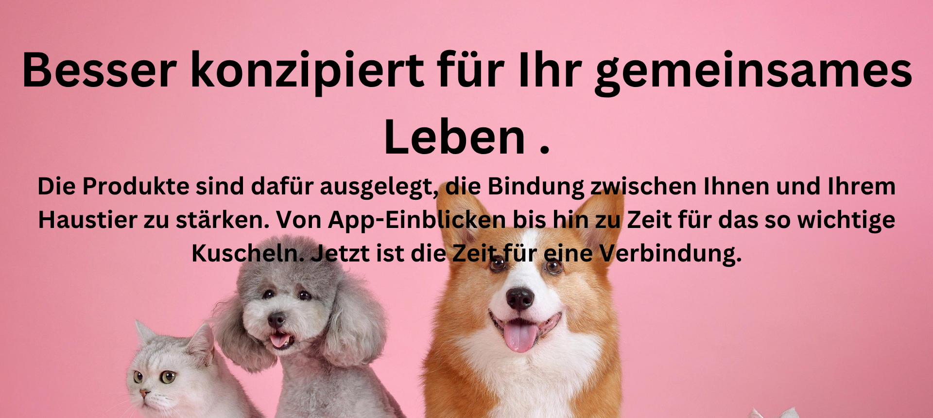 Petlibro